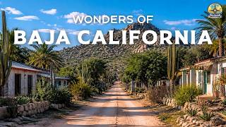 Wonders of BAJA CALIFORNIA | Where the Desert MEETS the Sea | Video de Viajes 4K