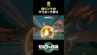 残心の太刀でグリオーク討伐！ #shorts  #ゼルダの伝説ティアーズオブザキングダム #ティアキン