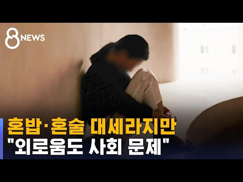혼밥 · 혼술 대세라지만…사회적 문제로 불거진 '외로움' / SBS
