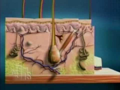 Soprano XL featured on The Doctors