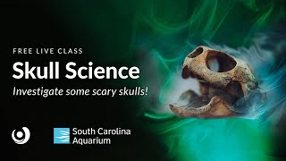 Varsity Tutors' StarCourse - Skull Science presented by the South Carolina Aquarium