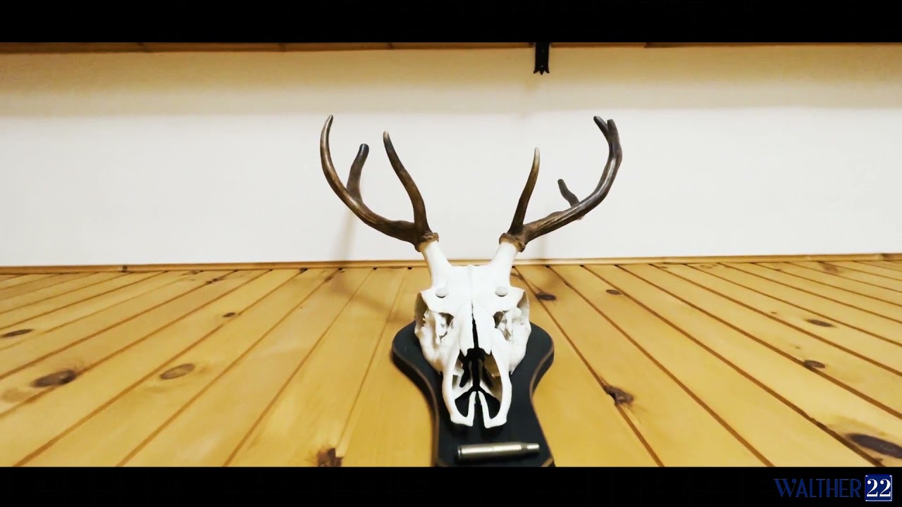 Via Col di Lana - Pentalocale in zona interna e tranquilla