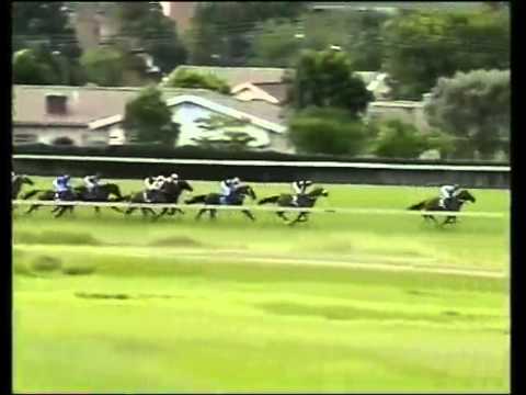 2011-02-20 Scottsville - race 8