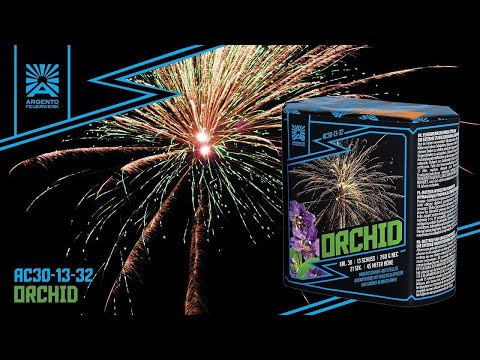 "Orchid" - 13Sh 30mm Brokat-Violett + Grünblinker [Batch 2025 ]