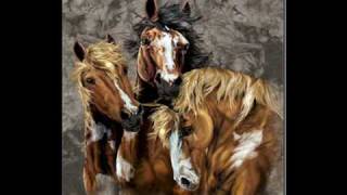Beautiful Horses
