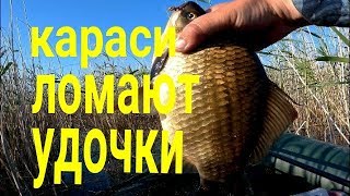 Рыбалка озеро чаши курганская область