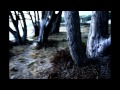 Black Moth Super Rainbow-Drippy Eye