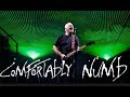 David Gilmour Comfortably Numb Royale Albert Hall 2006