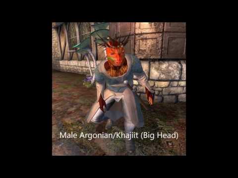 Oblivion: Unused Dialogue Almost Every NPC Has