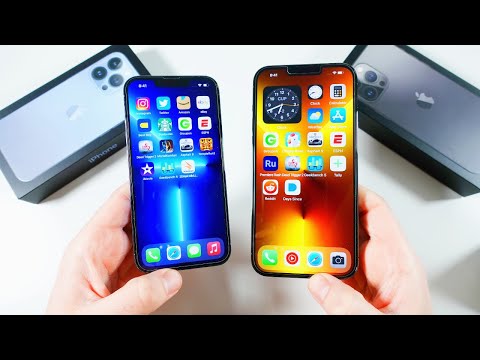 iPhone 13 Pro vs iPhone 13 Pro Max many months later