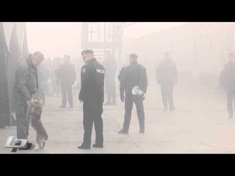 OSTOJIC I PAS / BRODPORTAL