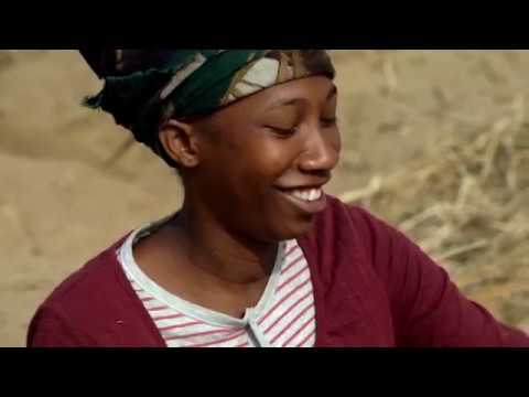 MANE’s Conscious Sourcing - Vetiver