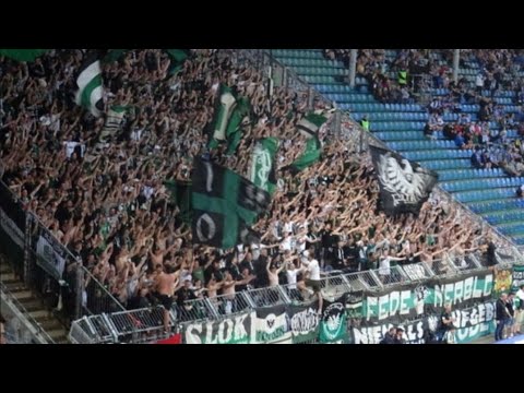 Preussen Münster Fans Away in Magdeburg | 2.Bundesliga FC Magdeburg vs Preussen Münster 0 - 5