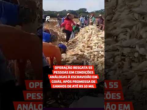 Operação resgata 55 pessoas em condições análogas à escravidão em Goiás