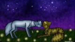 Crow x Leaf: Best of Luck