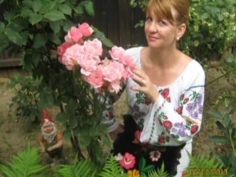 Luminita Gheorghe - Omule cu nume sfant