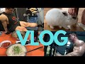 [VLOG] 보디빌더 일상 / 결혼생활 / 토지 / 비시즌먹방