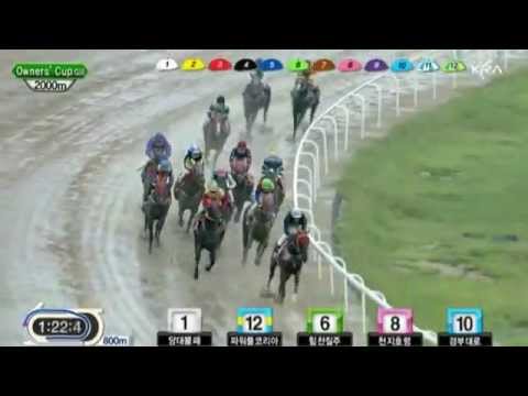 Busan Owners Cup 2012 - Dangdae Bulpae