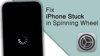 How to Fix iPhone Black Screen Spinning Wheel! [2023]