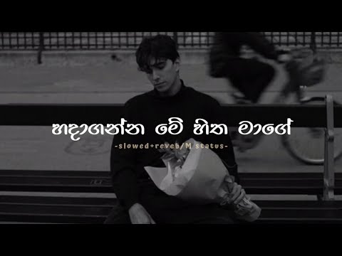 Hadaganna Me Hitha Mage (Slowed+Reverb) / lyrics // M Status