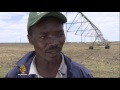 🇨🇳 🇿🇲 China invests millions in Zambia's farming sector | Al Jazeera English