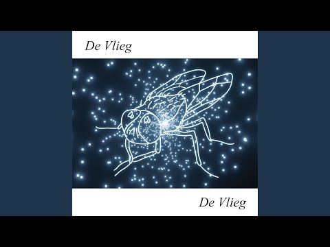 De Vlieg