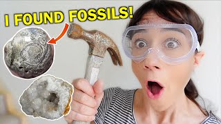Smashing Random Rocks Until I Find Crystals & Fossils!