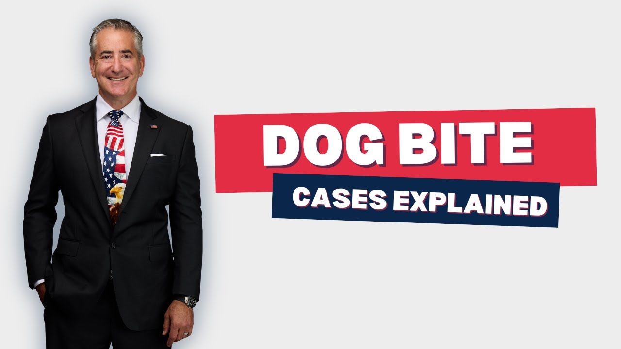 Navigating Dog Bite Cases: Securing Compensation And Protecting Your Rights