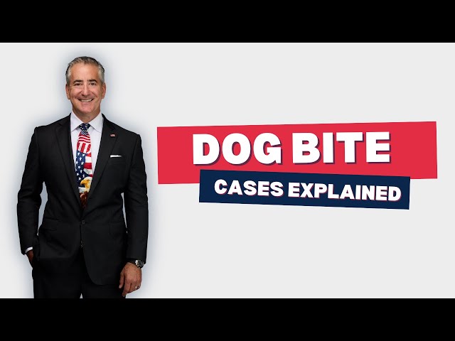 Navigating Dog Bite Cases: Securing Compensation And Protecting Your Rights