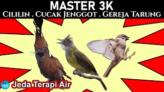 Download lagu MASTER 3K Cililin, Cucak Jenggot, Gereja Tarung | Jeda Terapi Air mp3 Download lagu MASTER 3K Cililin, Cucak Jenggot, Gereja Tarung | Jeda Terapi Air mp3