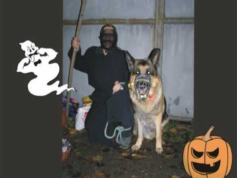 Hoštka - Vysílání z radnice č. 492