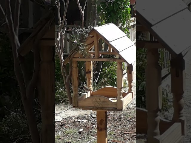 Vídeo relacionado con TRIXIE Comedero Acero Inox con Enganche para Pájaros
