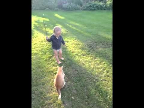 Tired baby and playful cat