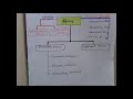 Class 8 English I 28 04 2020