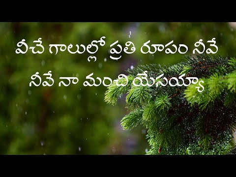Veeche Galullo Prathi Rupam Neeve||వీచే గాలుల్లో ప్రతి రూపం నీవే||Telugu Christian Song