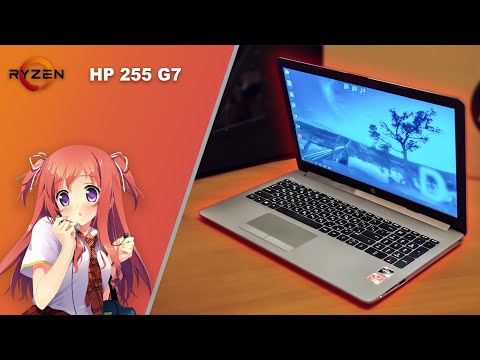 Ноутбук Hp 255 G7 Купить