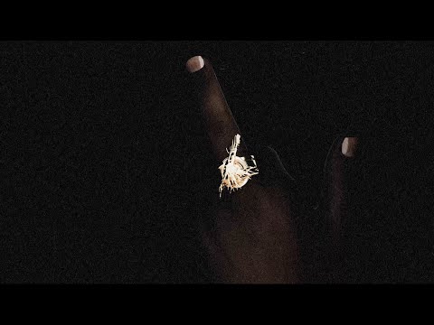 Video thumbnail for F*ck le mainstream