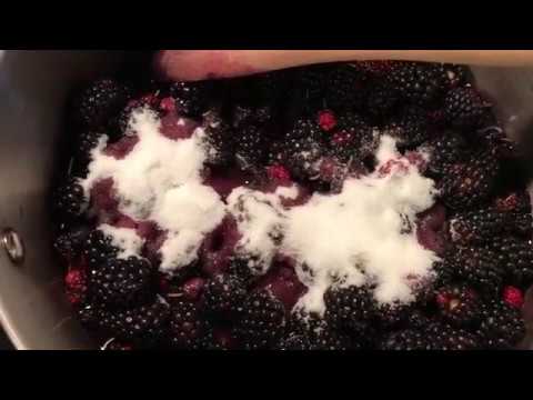 Basic Mulberry Dumplings