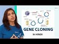 Gene Cloning Technique Part 1 Steps Involved In Gene Cloning Explained In Hindi