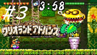 ヨダレはワリオをも溶かす【ワリオランドアドバンス ヨーキのお宝】#3