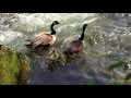 "River of Dreams" from the album Meditation Moods by Dean & Dudley Evenson