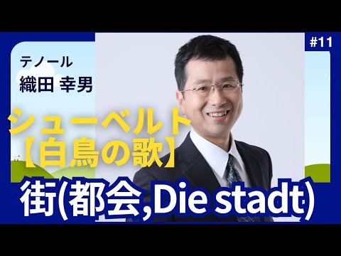 経営学科 #シューベルト 「11. 街(都会,Die stadt)」 #白鳥の歌