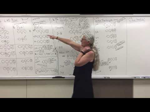 Hebrew L46 on Nifal Affix