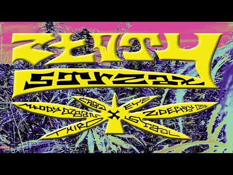 Video thumbnail for Złoty Strzał