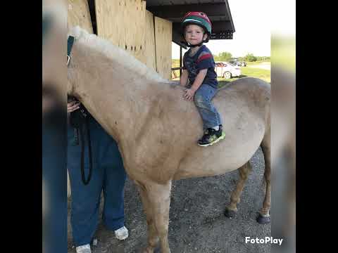 Home is Where My Horse is (Buddy and Pax)