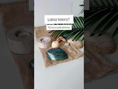 Muszla abalone - klejnot oceanu!🌊#abalone #abaloneshell