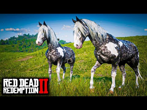 Catching 2 Missouri Fox Trotters with Arthur in 2 Different Ways - Red Dead Redemption 2