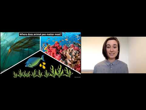 Three Minute Thesis (3MT) at SFU 2021 - Em Lim