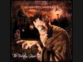 Disarmonia Mundi- Blacklight Rush (320kbps) 