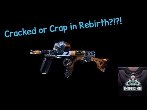 Desert Zebra Owen Gun Cracked or Crap Warzone Rebirth